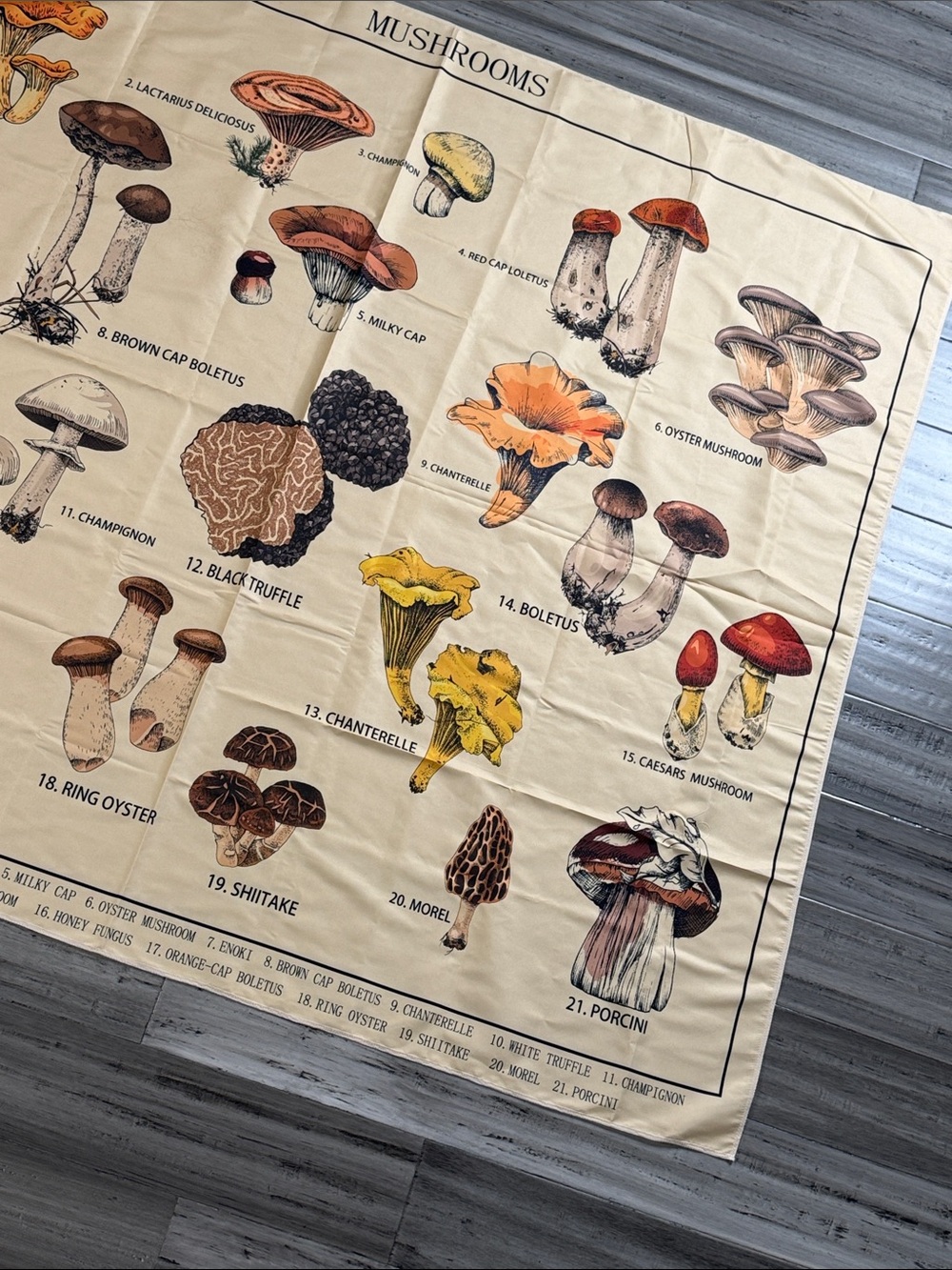MUSHROOM BOTANICAL FABRIC WALL HANGING 58.5” x 50” COTTAGECORE FUNGI - Picture 7 of 11